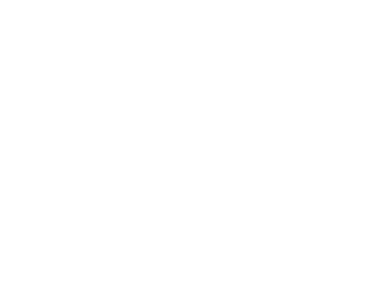 Acumen Holding Group logo