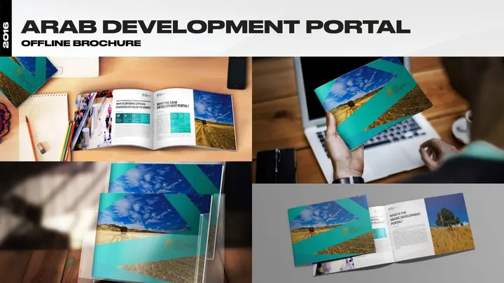 Arab Development Portal — Brochure board