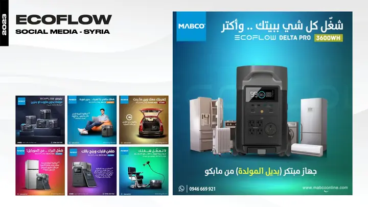 EcoFlow — Syria board