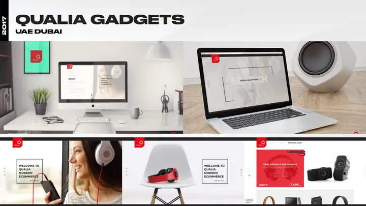 Qualia Gadgets — UAE board